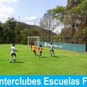 Torneo Escuela Interclubes